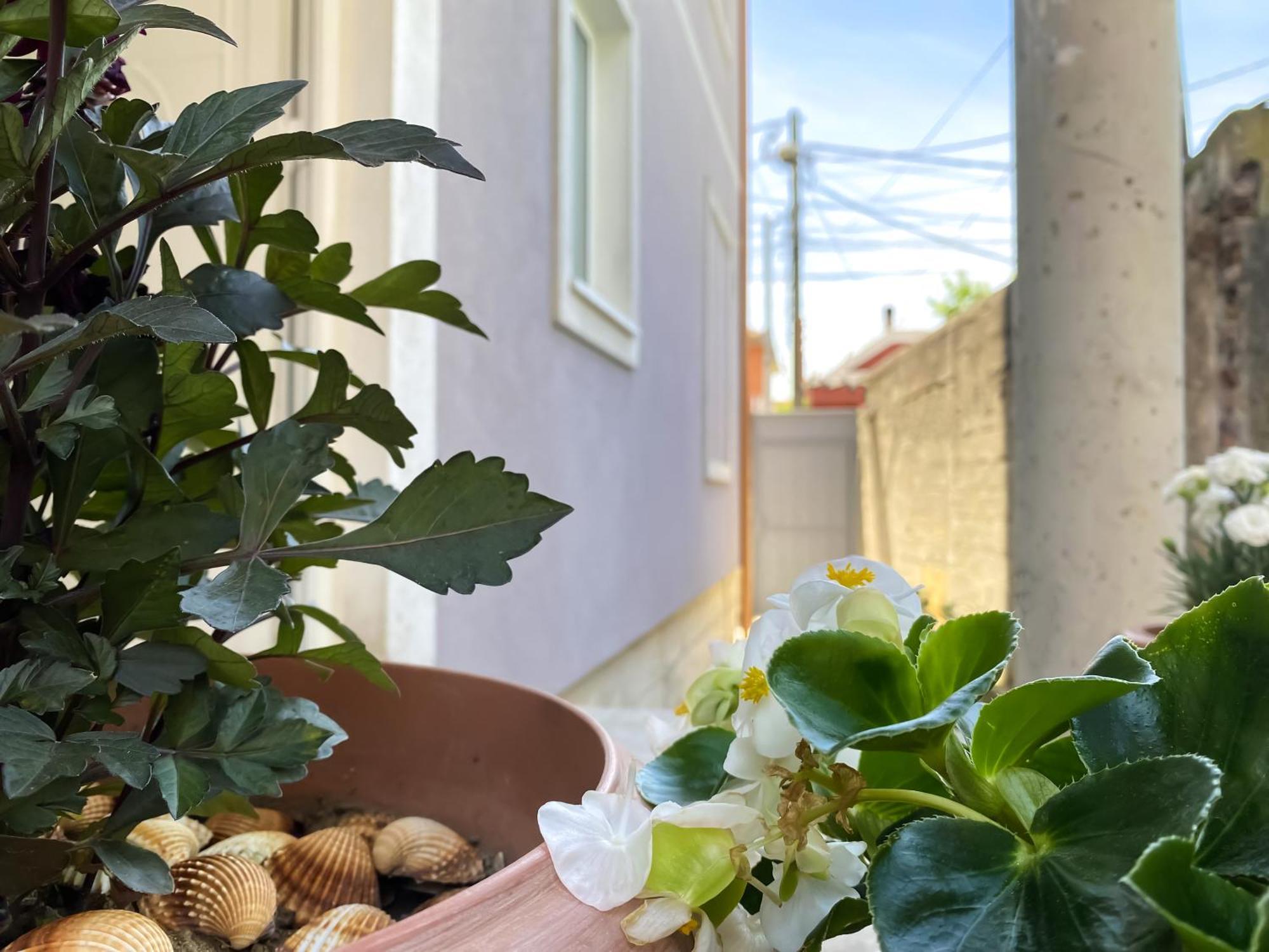 Northgate Apart-Villa Shkoder Exterior photo